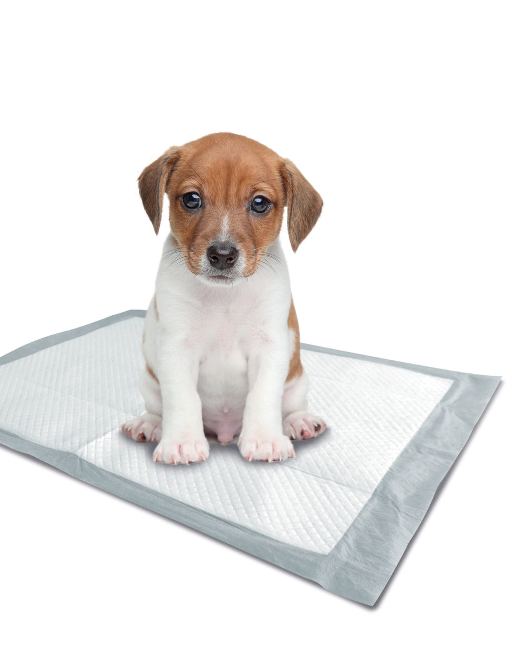 Tapis d'entraînement PUPPY 45 x 60 cm - 30 pcs