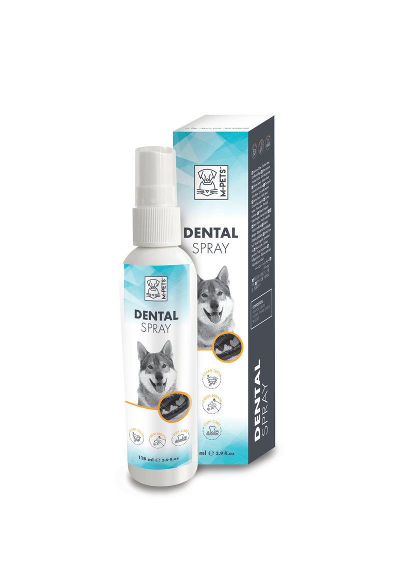 DENTAL SPRAY 118 ml