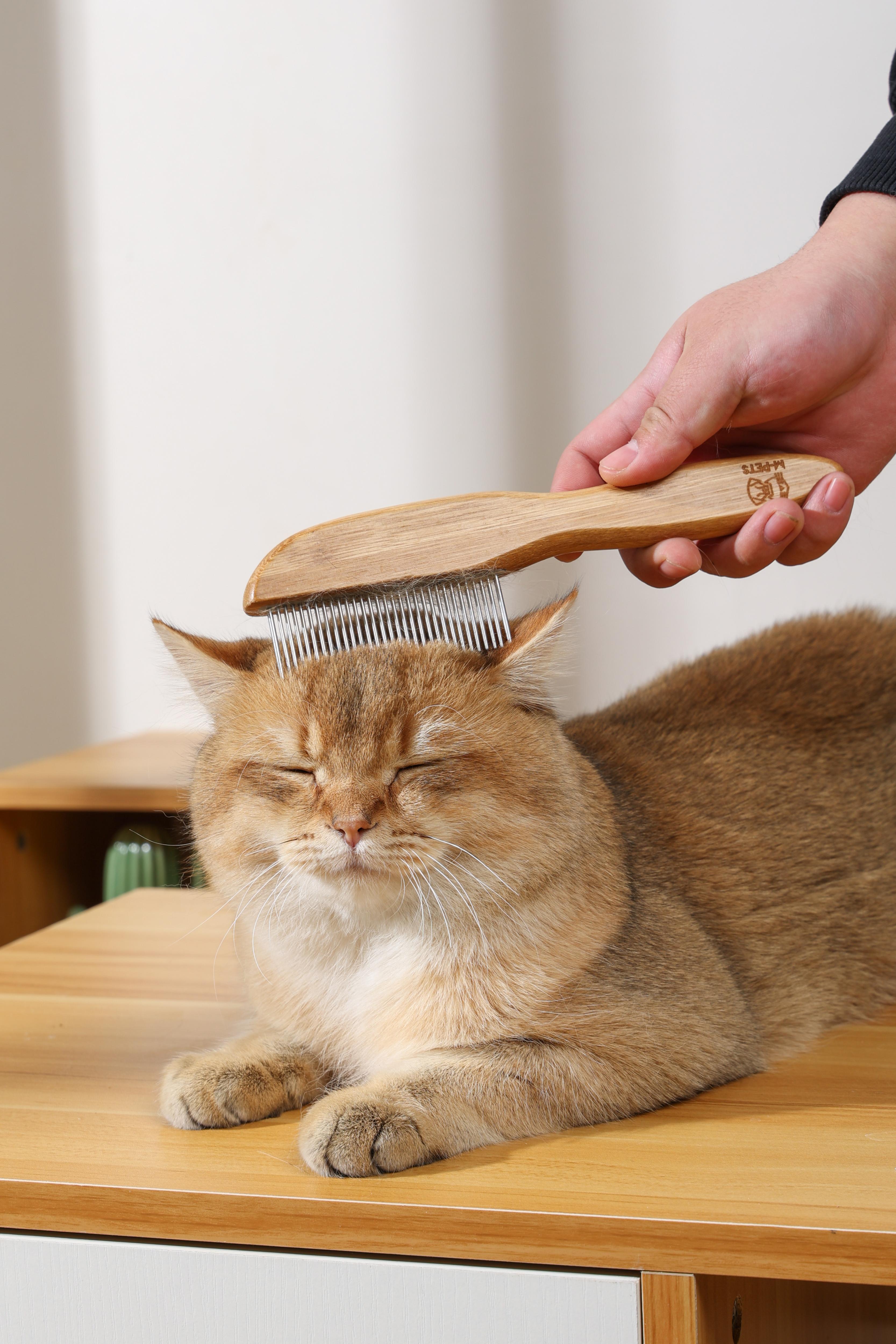 comb with spinning teeth BAMBOO Regular Comb with Rotating Teeth