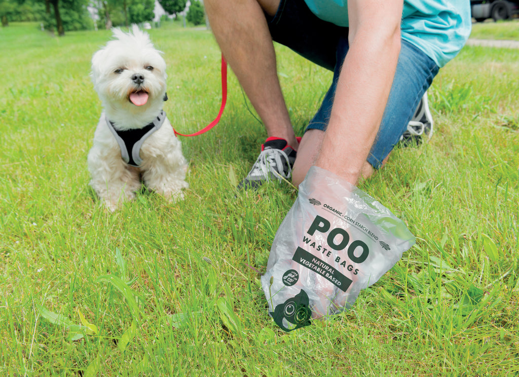 POO Dog Waste Bags - Vegetable Based - Mint Scented (60 bags)