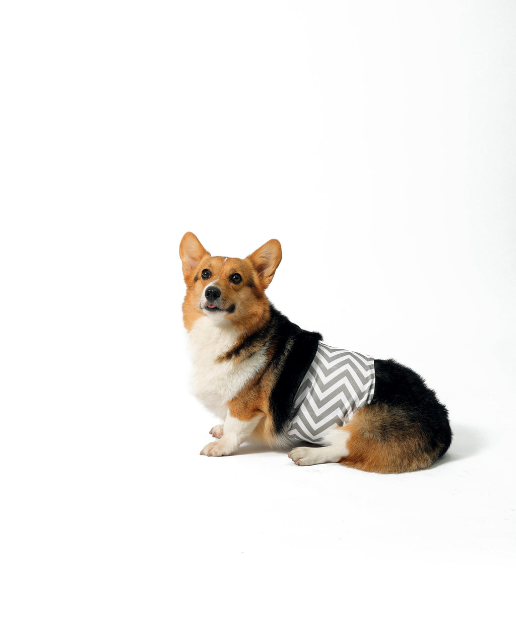 WASHABLE DIAPERS - Male Dog