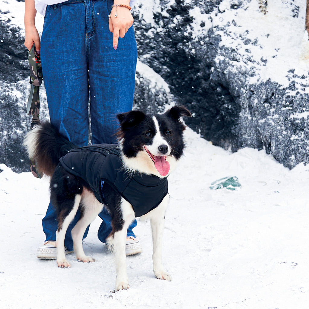 GENTLE DOG Winterjas Zwart&amp;Blauw