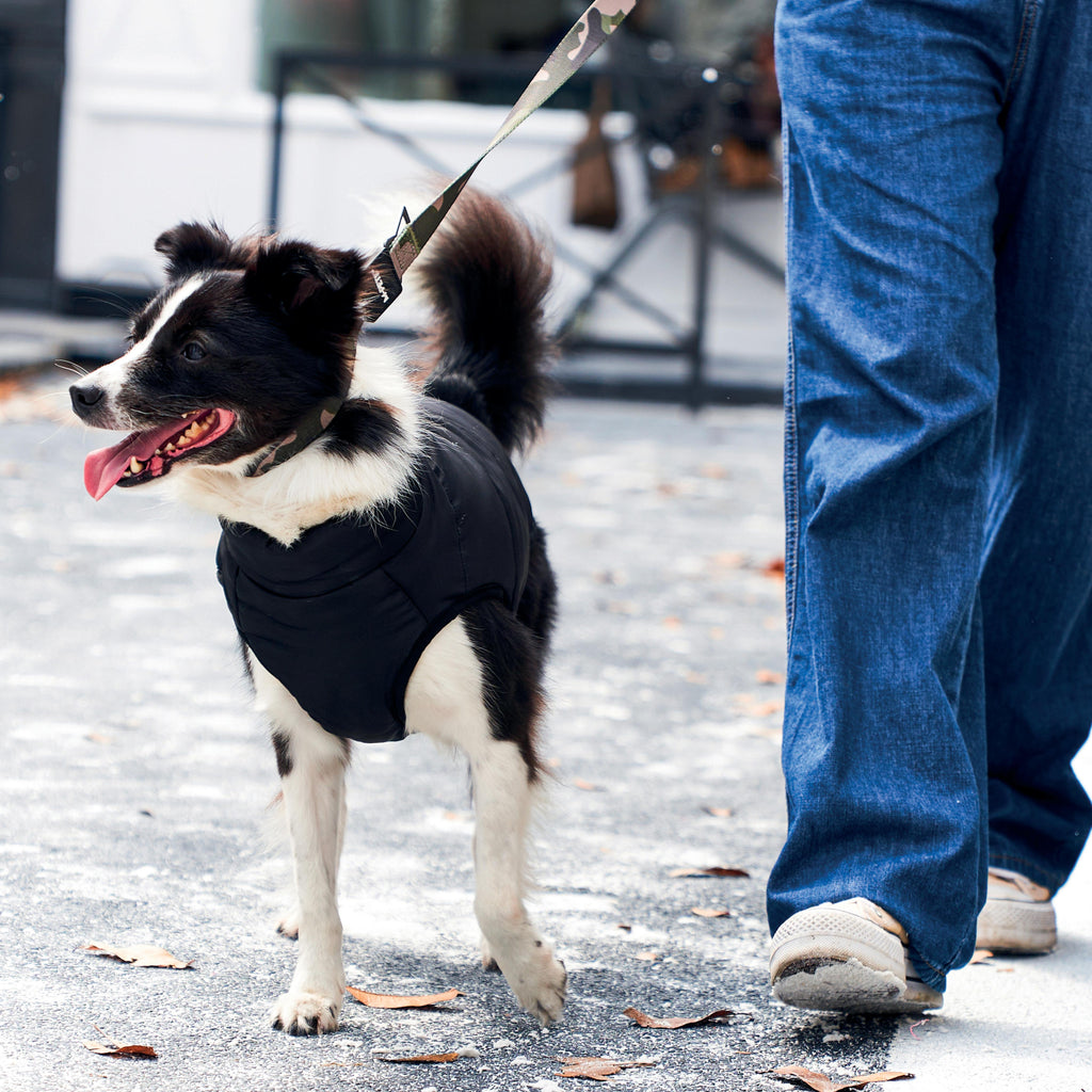 GENTLE DOG Winterjas Zwart&amp;Blauw