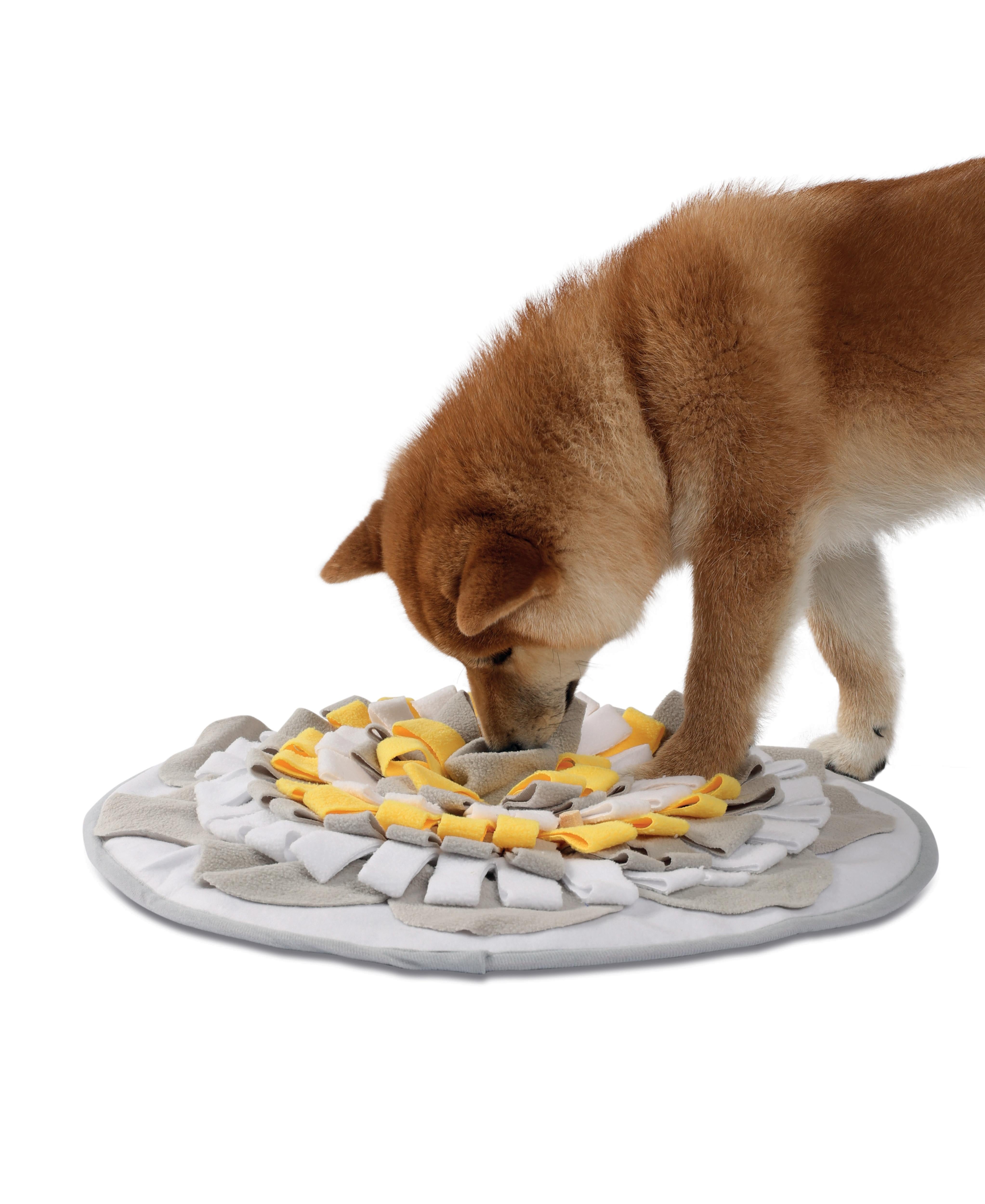 STRATEGE Snuffle Mat - Round – M-PETS