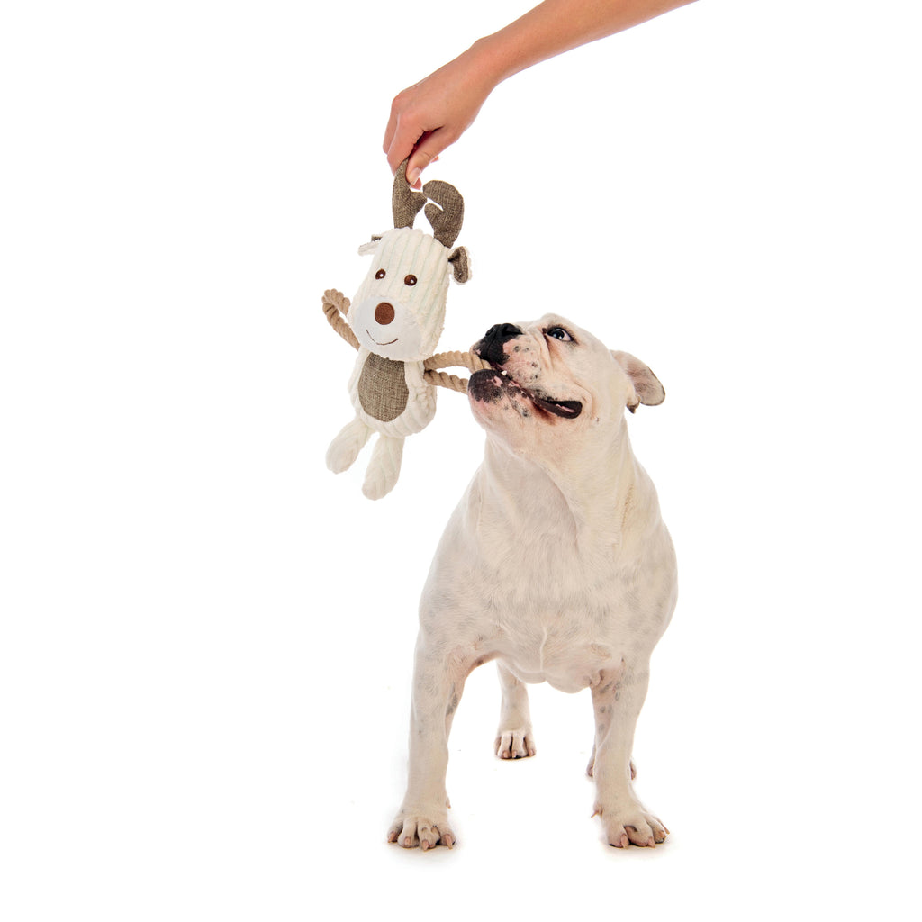 RUNE ECO Dog Toy