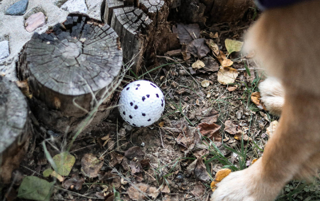 BLOOM BALL - White & Black