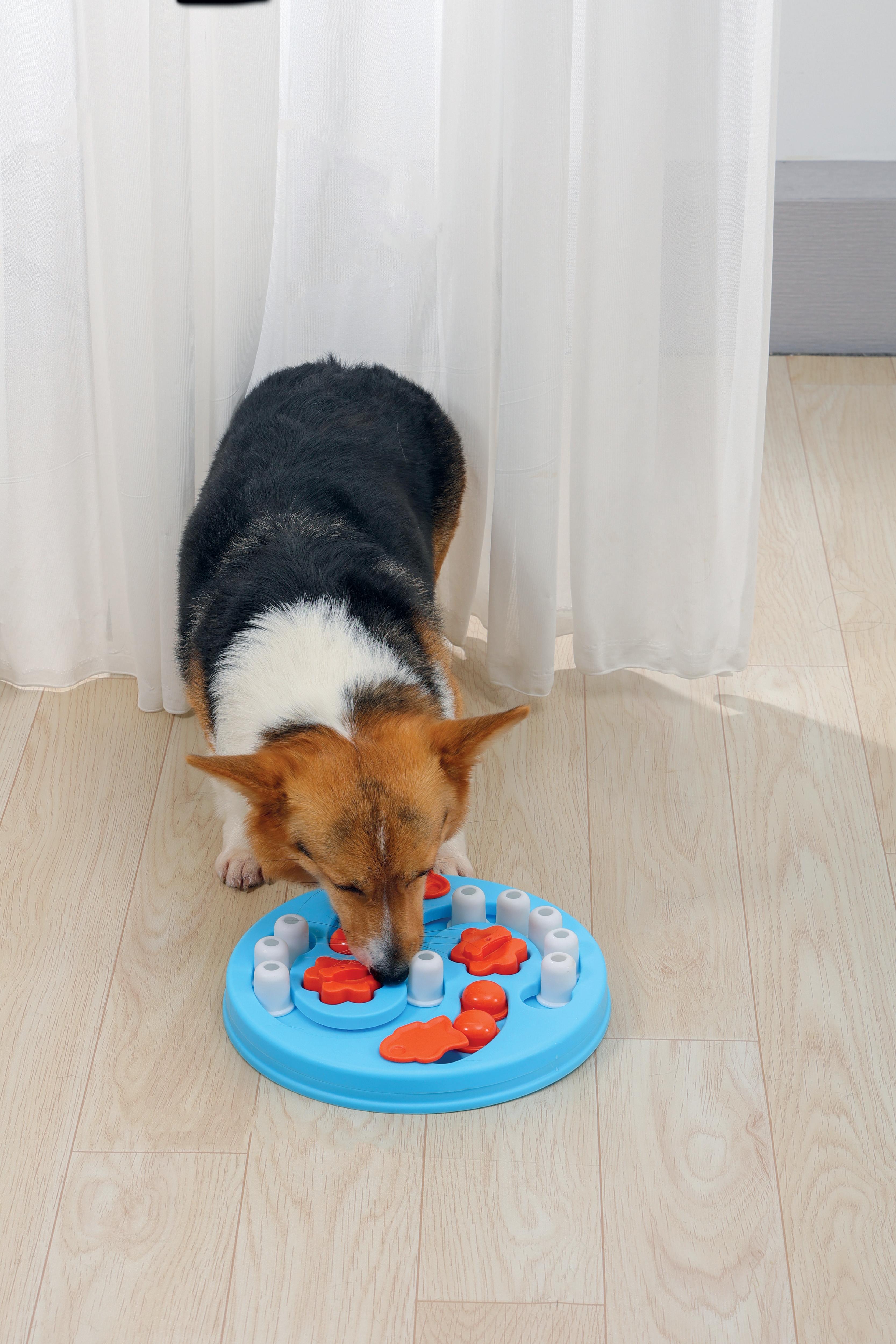 BRAINY GAMES Einstein - L3 Difficult – M-PETS