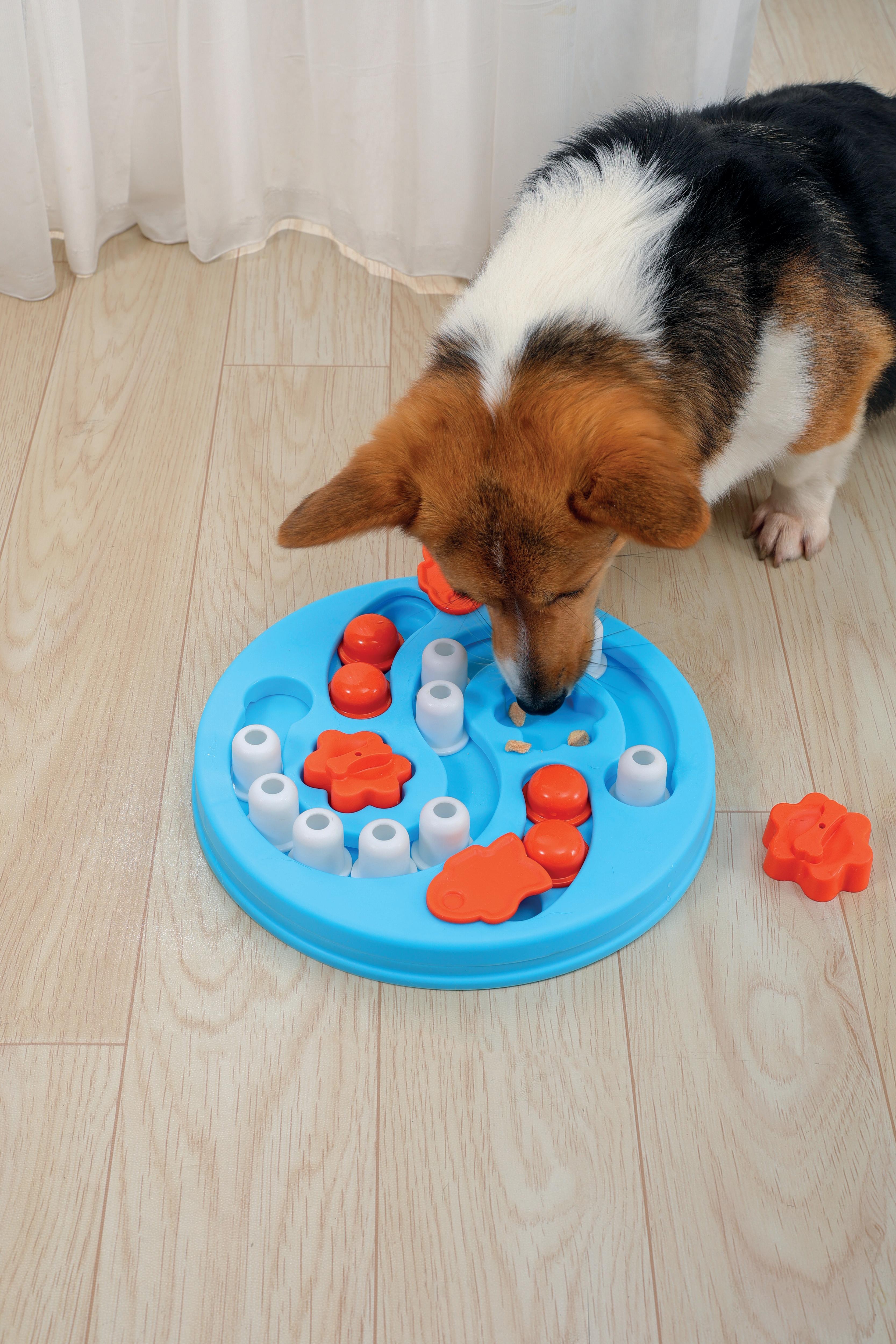 BRAINY GAMES Einstein - L3 Difficult – M-PETS