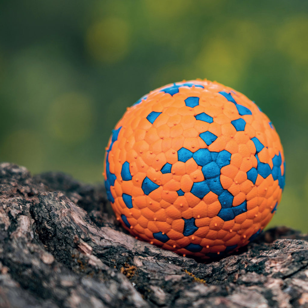 BLOOM BALL - Orange & Blue