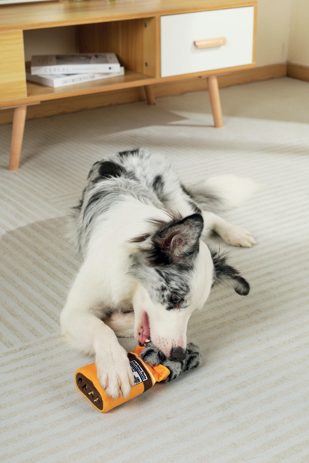 Snack Attack food dispenser dog toy - ARTIE