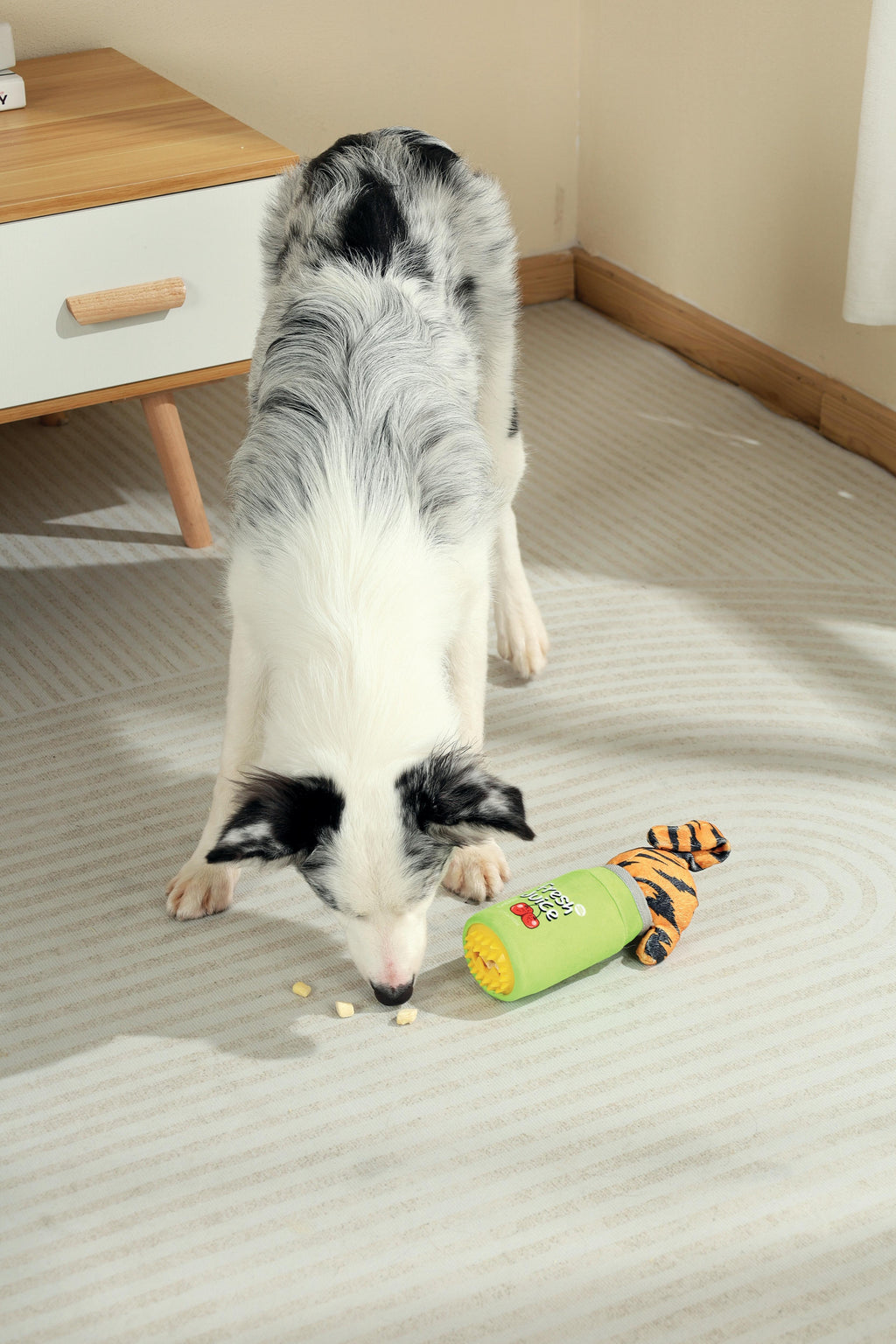 Distributeur de nourriture Snack Attack pour chien - OZZY