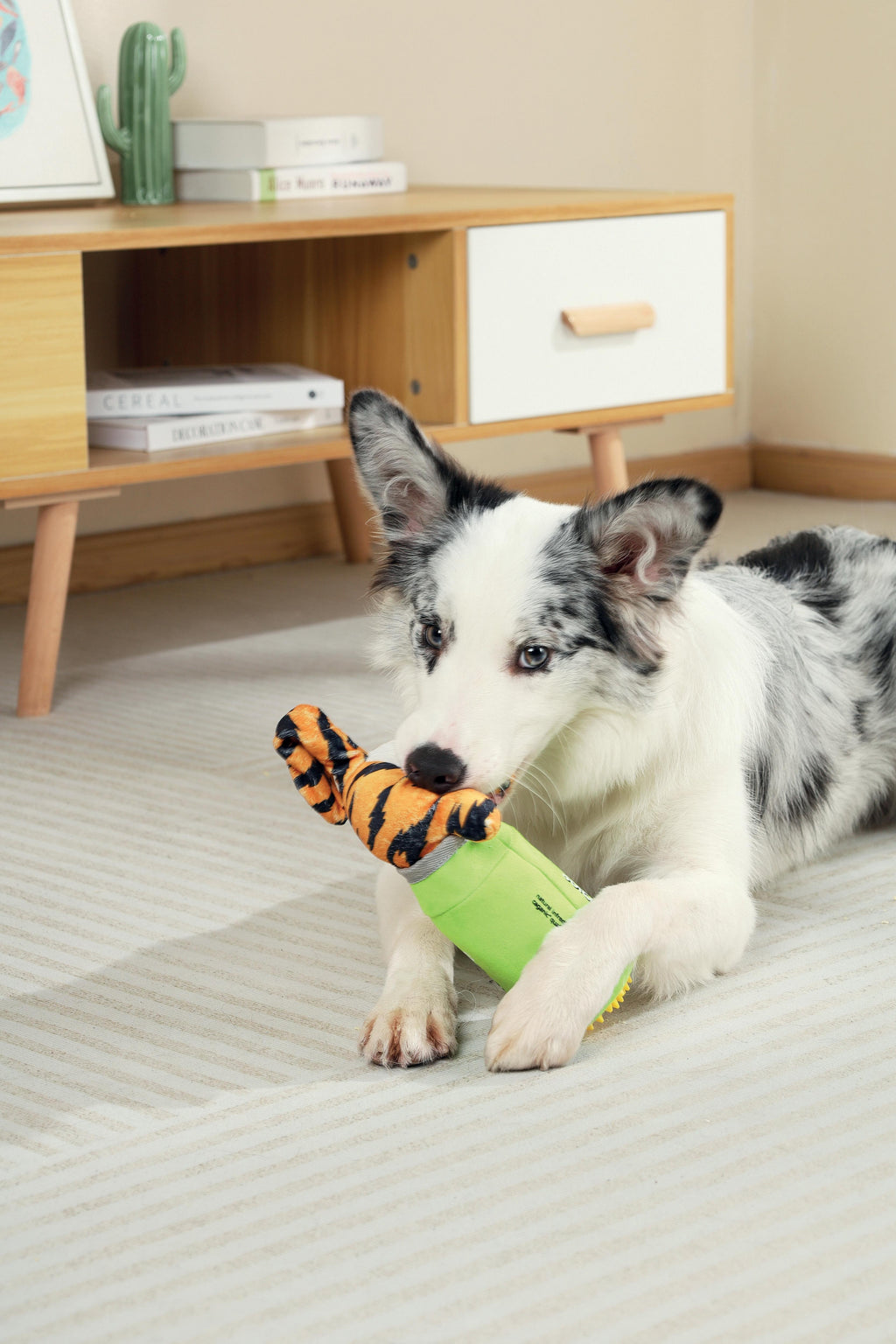 Distributeur de nourriture Snack Attack pour chien - OZZY