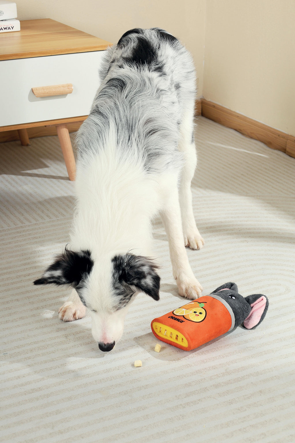 Snack Attack food dispenser dog toy - OSCAR