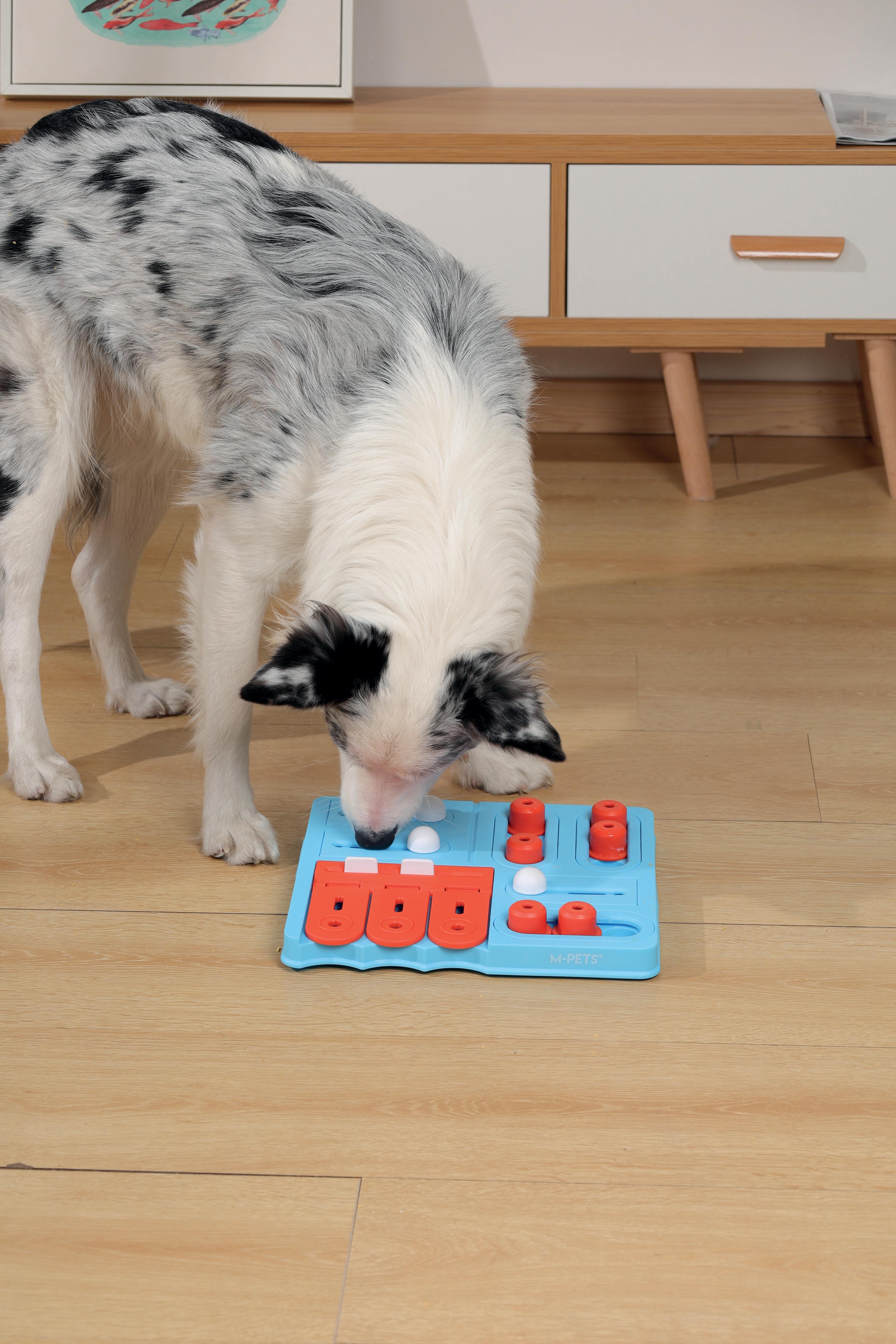 BRAINY GAMES CURIE L4 Expert – M-PETS