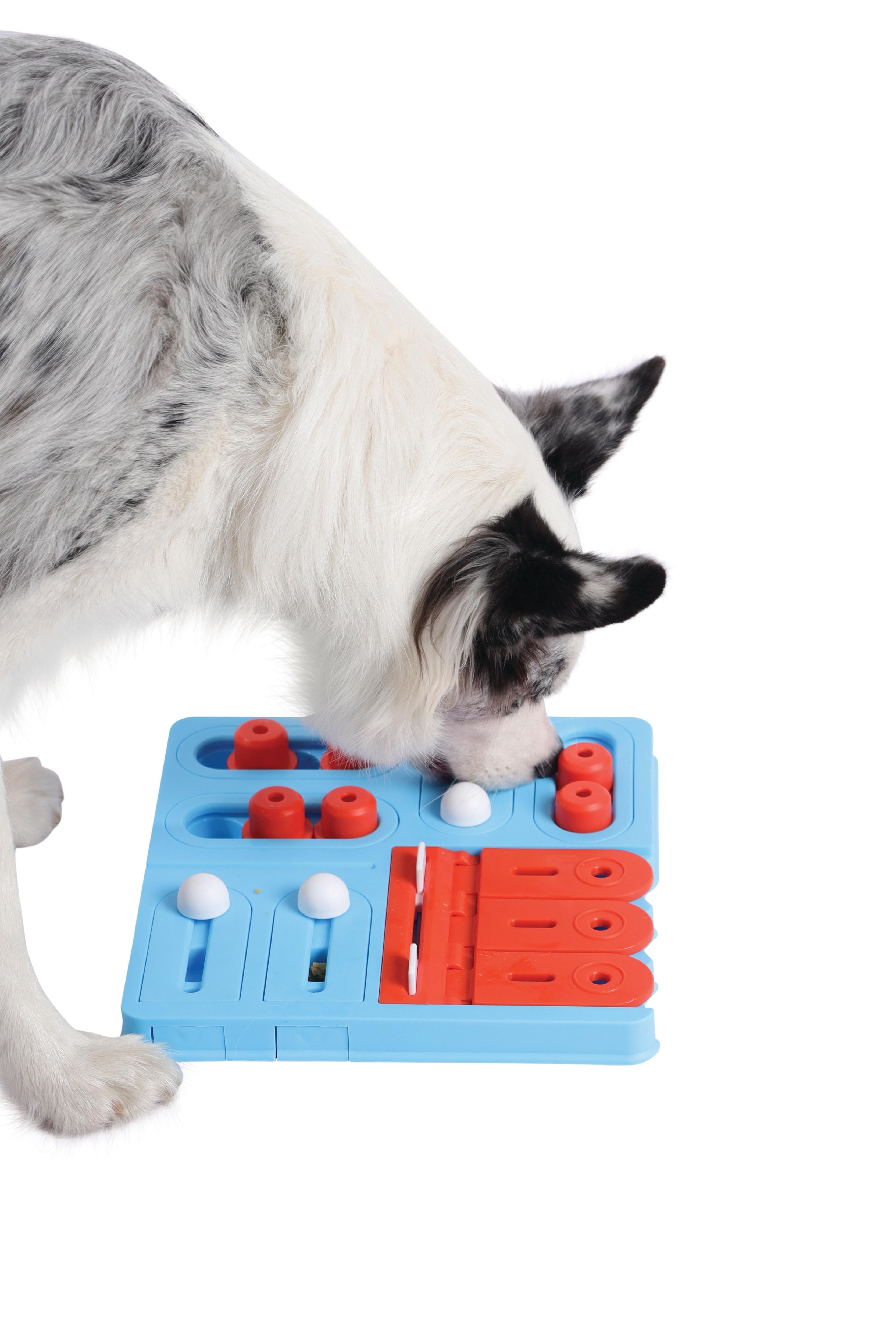 BRAINY GAMES CURIE L4 Expert – M-PETS