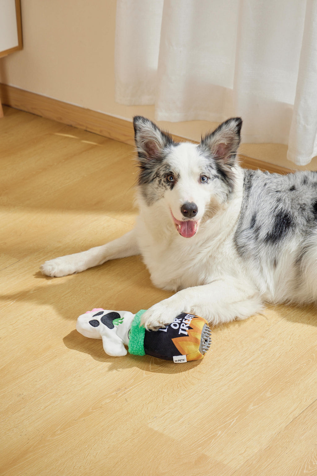 Halloween Snack Attack Dog Toy -  Ghost