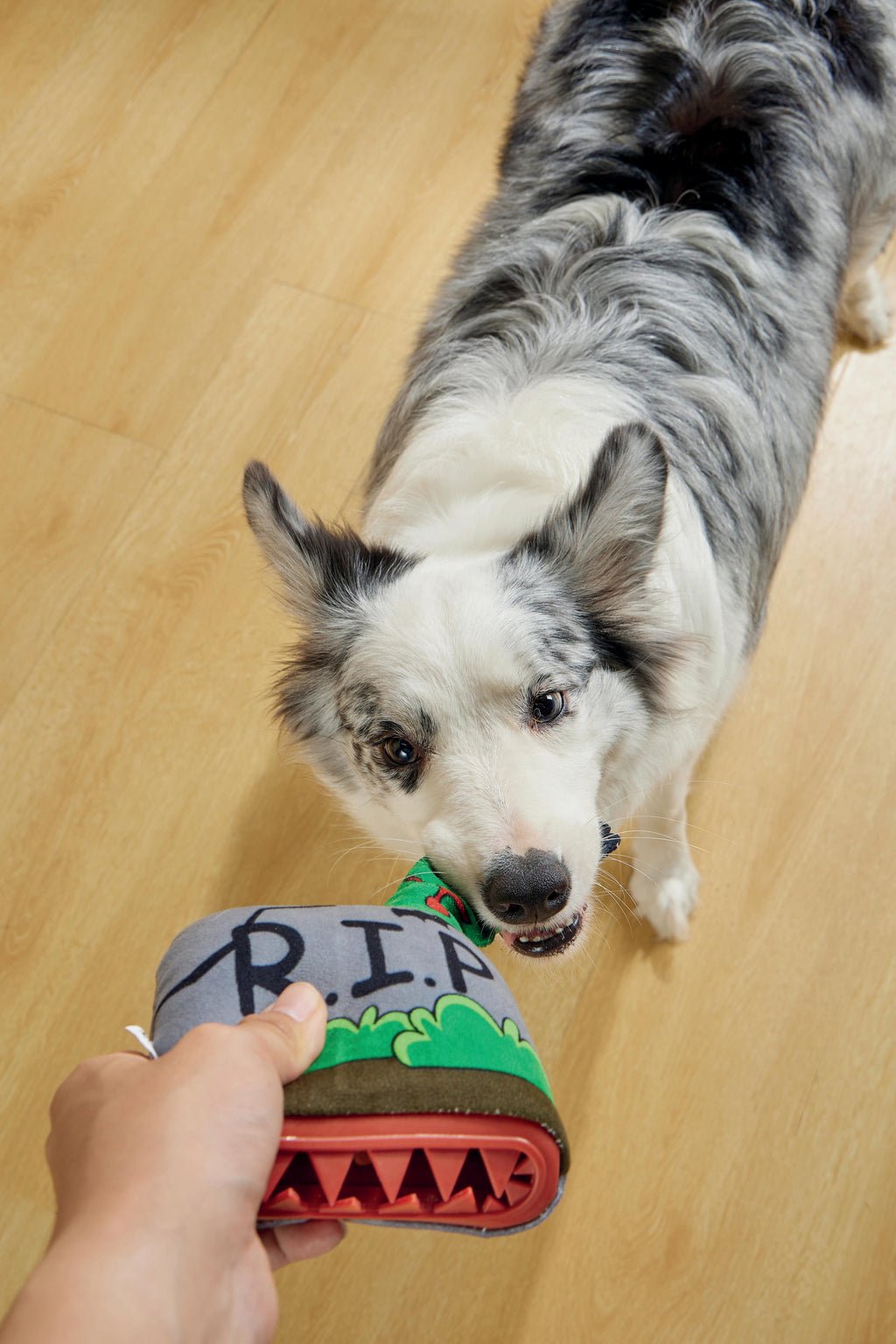 Halloween Snack Attack Dog Toy - Tomb