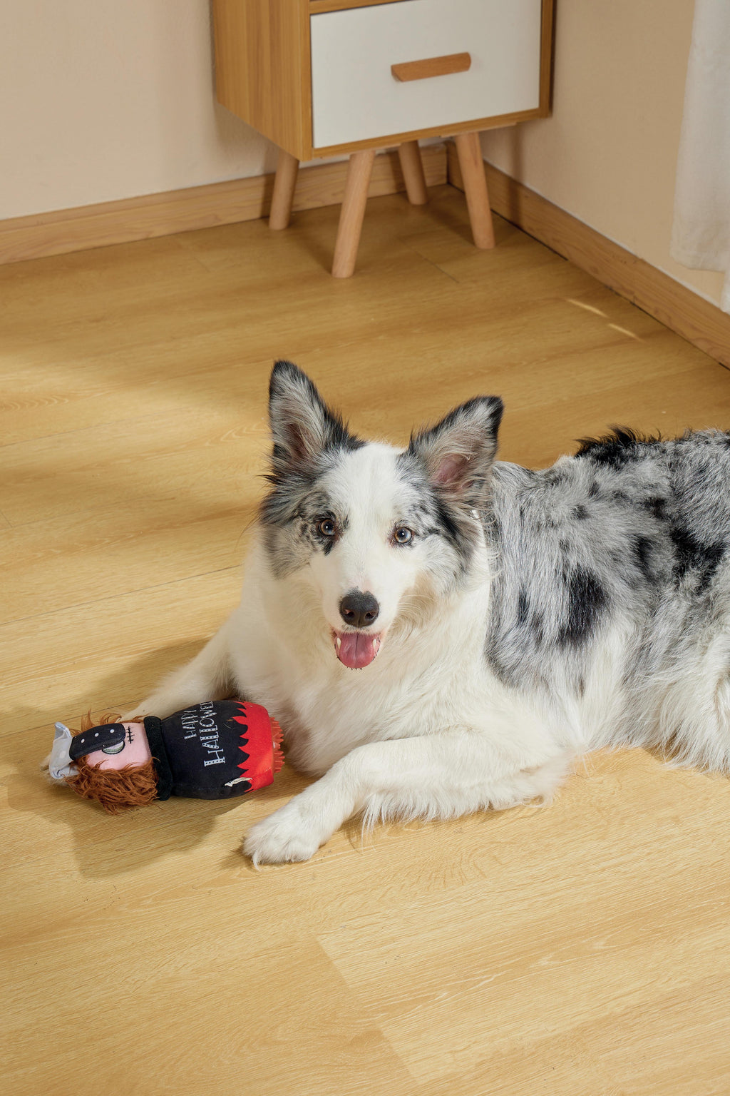 Halloween Snack Attack Honden Speelgoed - Ketel