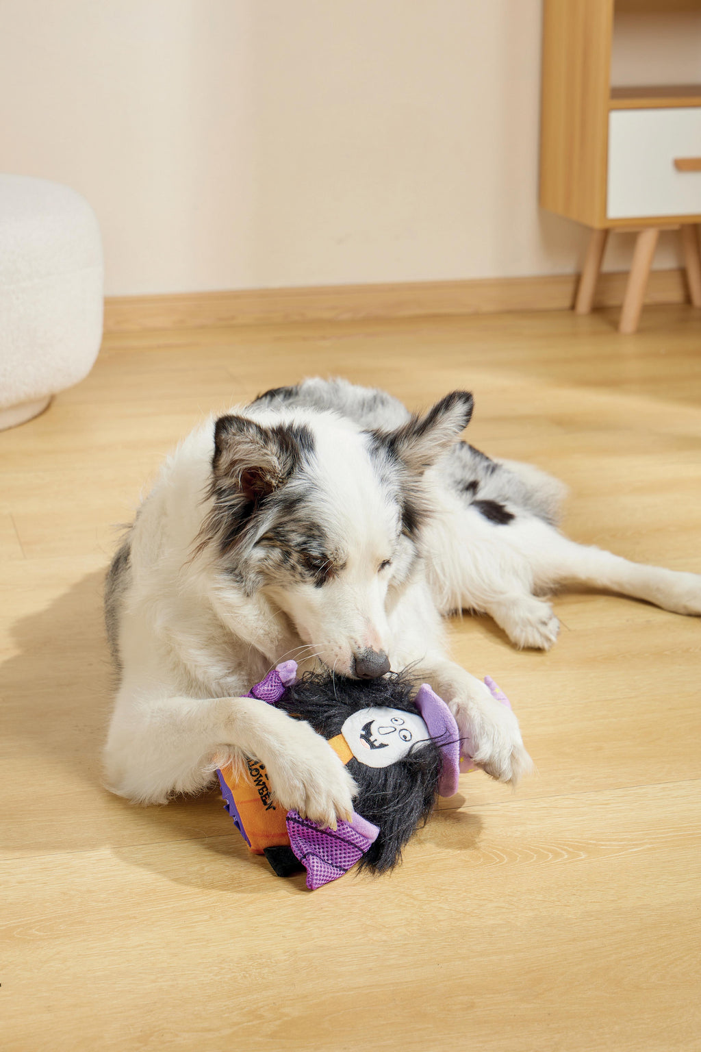 Halloween Snack Attack Dog Toy - Witch