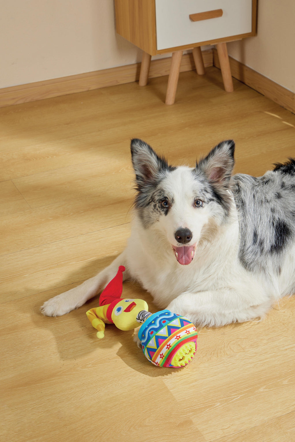 Joyful Snack Attack Dog Toy - Jester