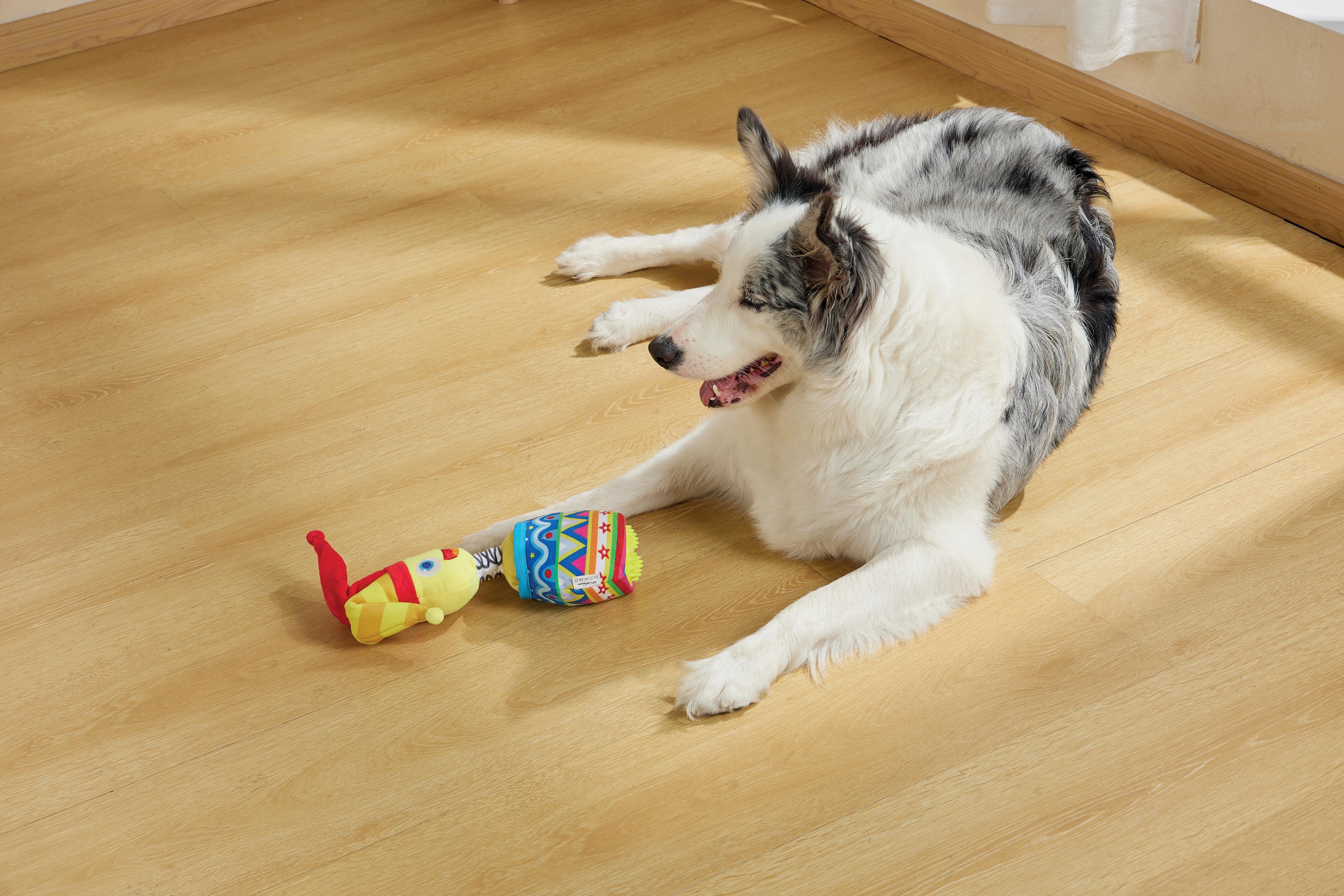 Joyful Snack Attack Dog Toy - Jester – M-PETS