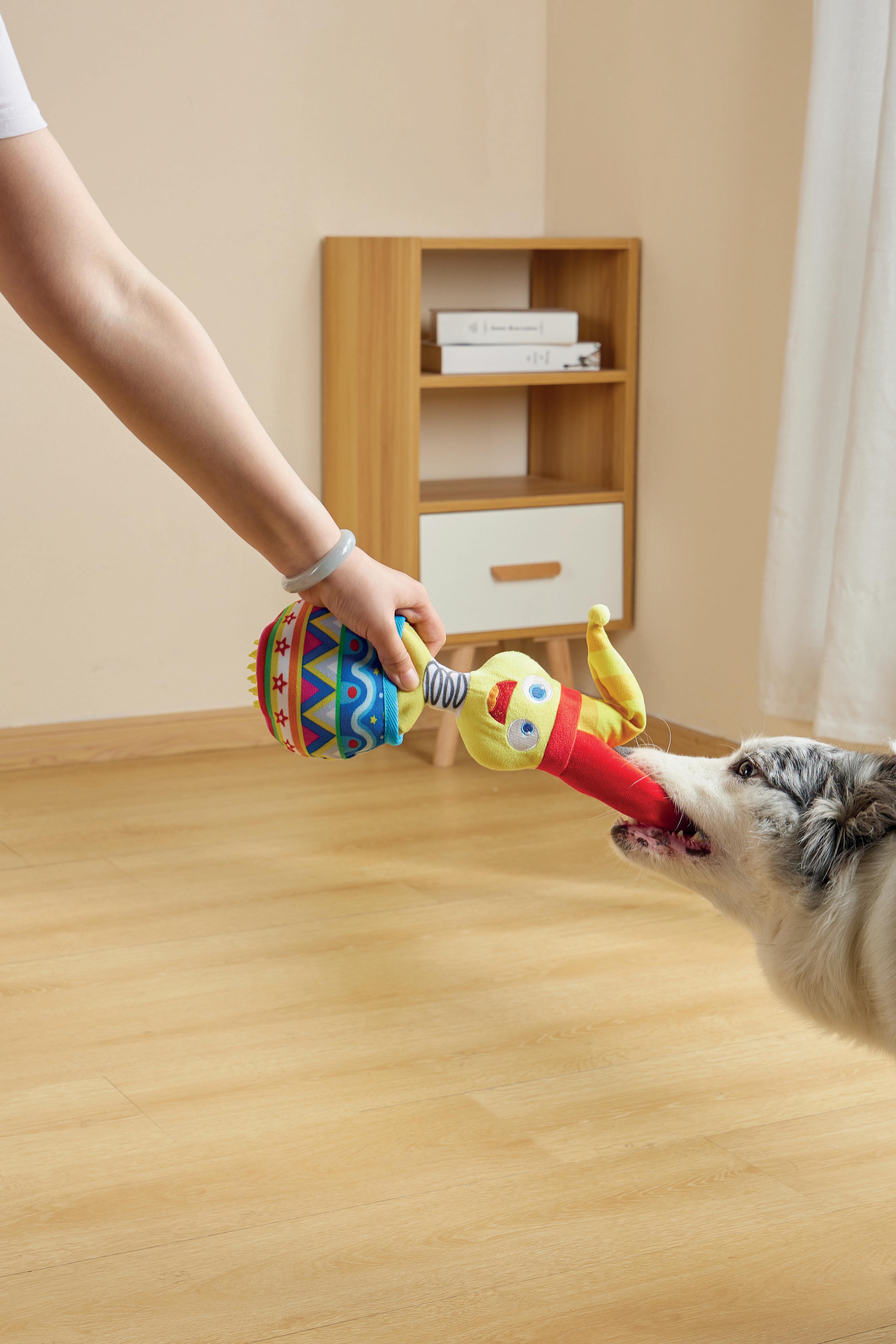 Joyful Snack Attack Dog Toy - Jester – M-PETS