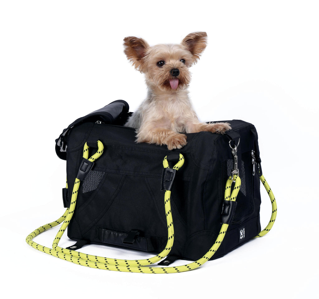 REMIX Travel Carrier 2 in 1 with Leash-Shoulder Belt - Black & Yellow