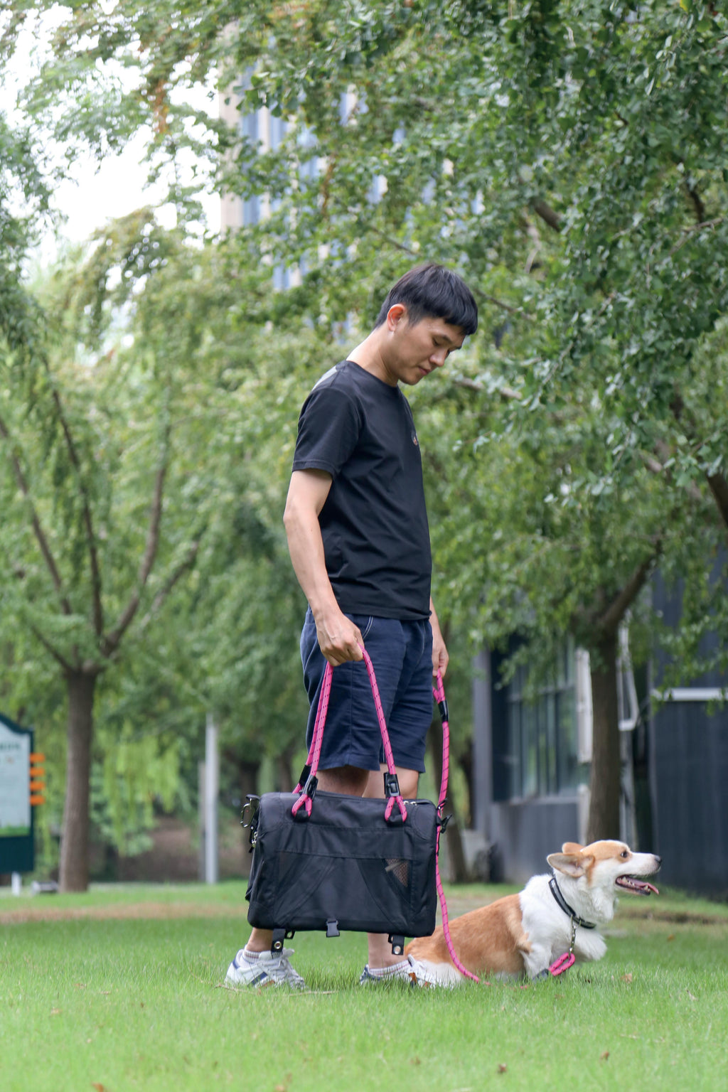 REMIX Travel Carrier 2 in 1 with Leash-Shoulder Belt - Black & Pink