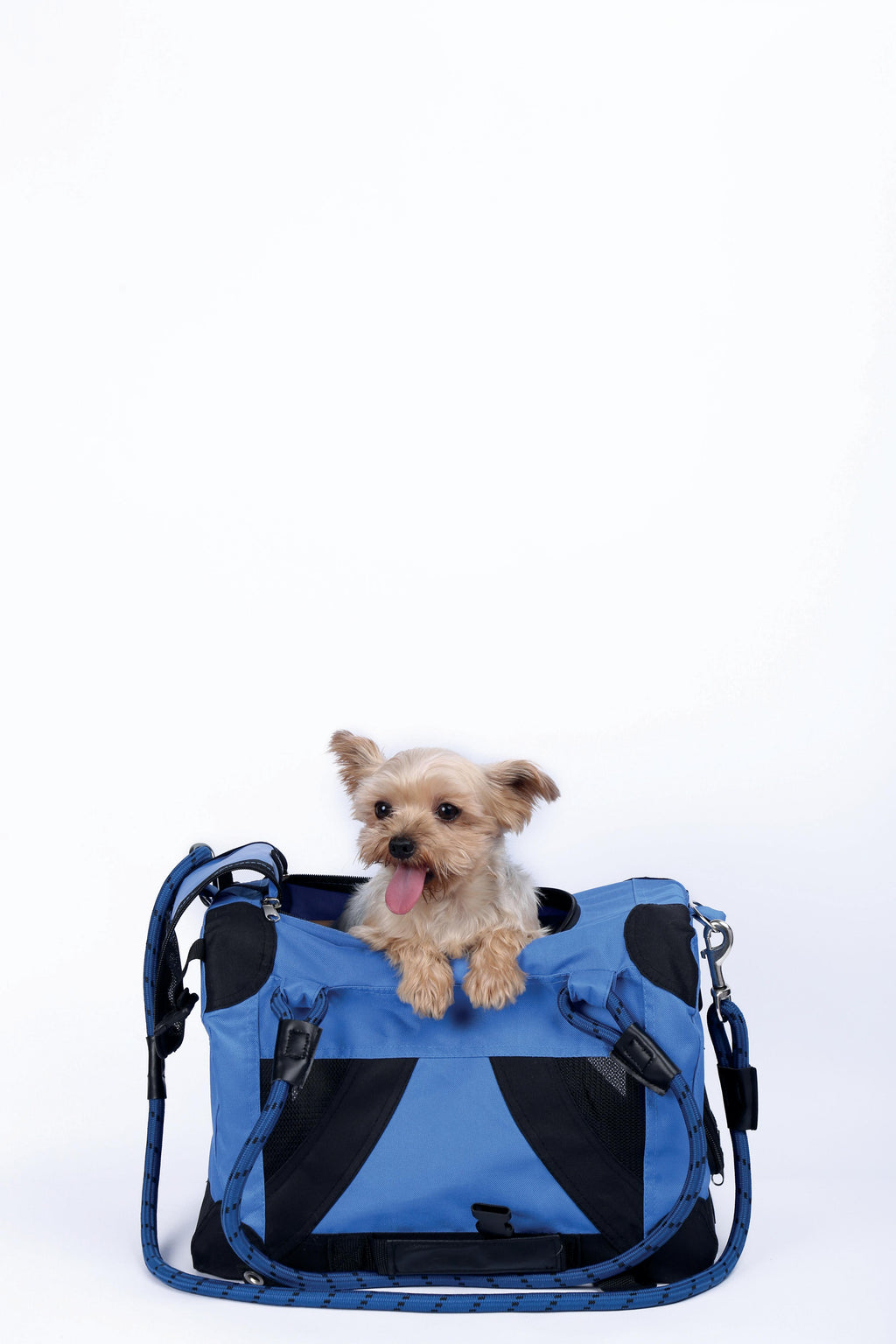 REMIX Travel Carrier 2 in 1 with Leash-Shoulder Belt - Blue