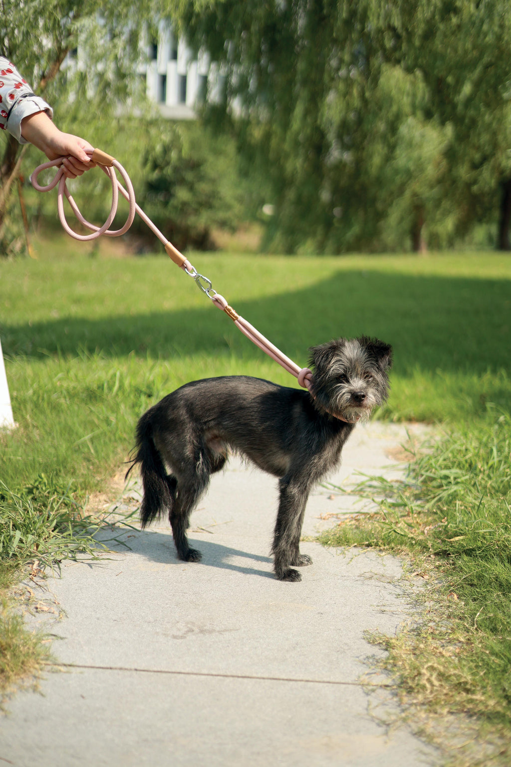 ECO Dog Leash & Collar 2 in 1 Blue