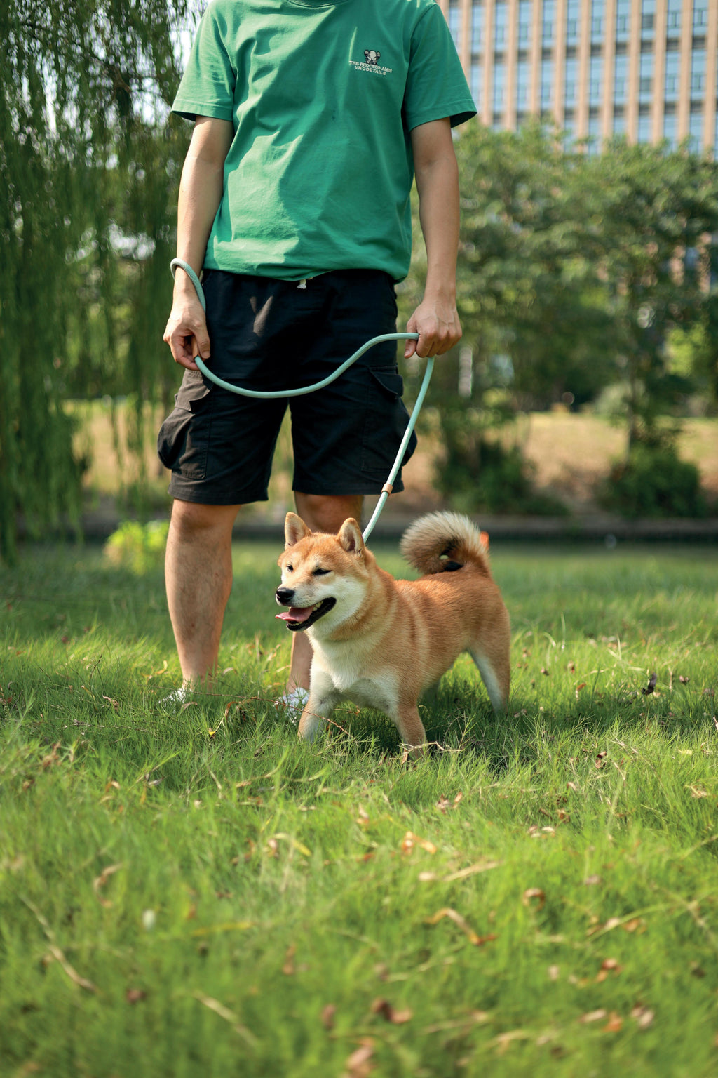 Laisse et collier pour chien ECO 2 en 1 Bleu