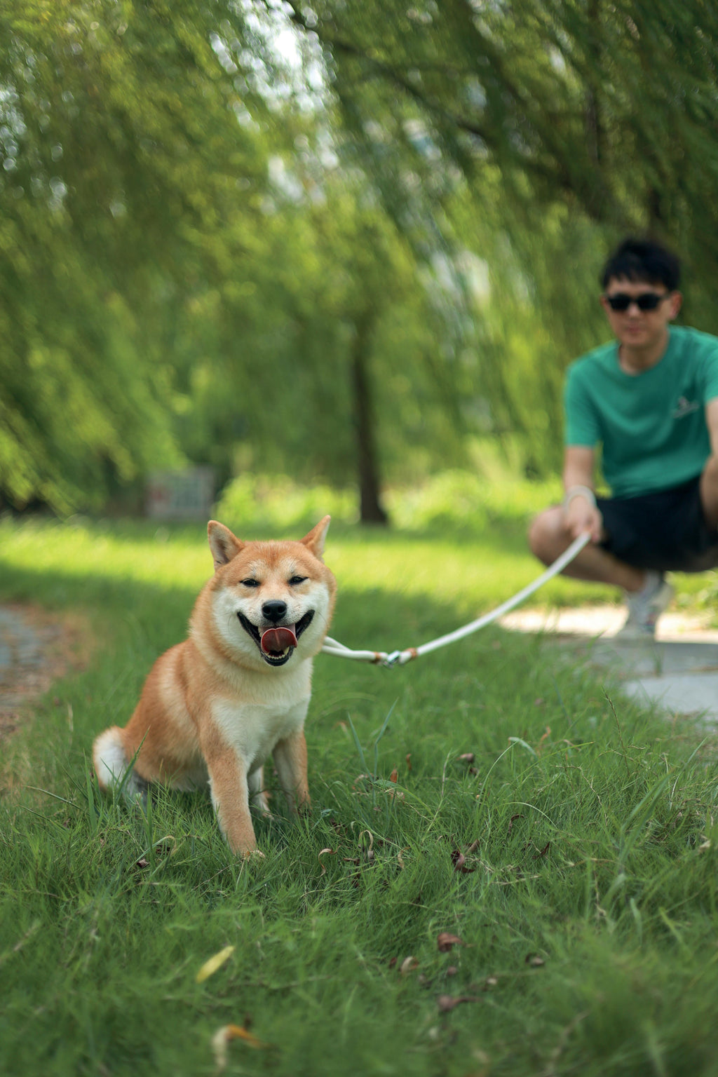 ECO Dog Leash & Collar 2 in 1 Blue