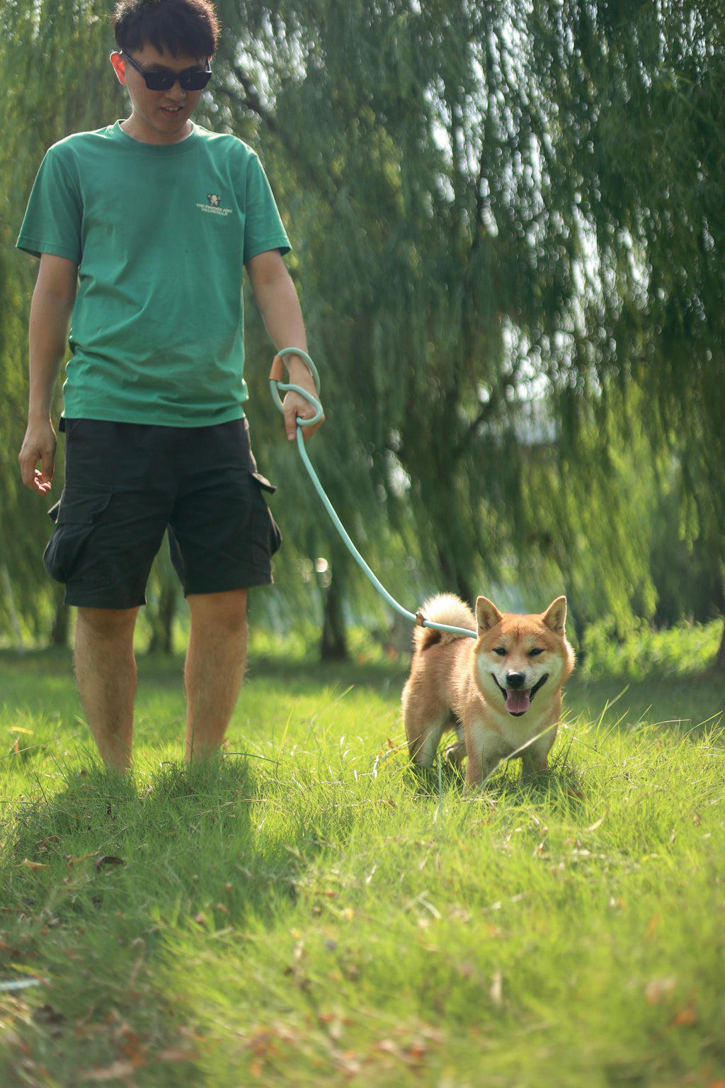 Laisse et collier pour chien ECO 2 en 1 Blanc