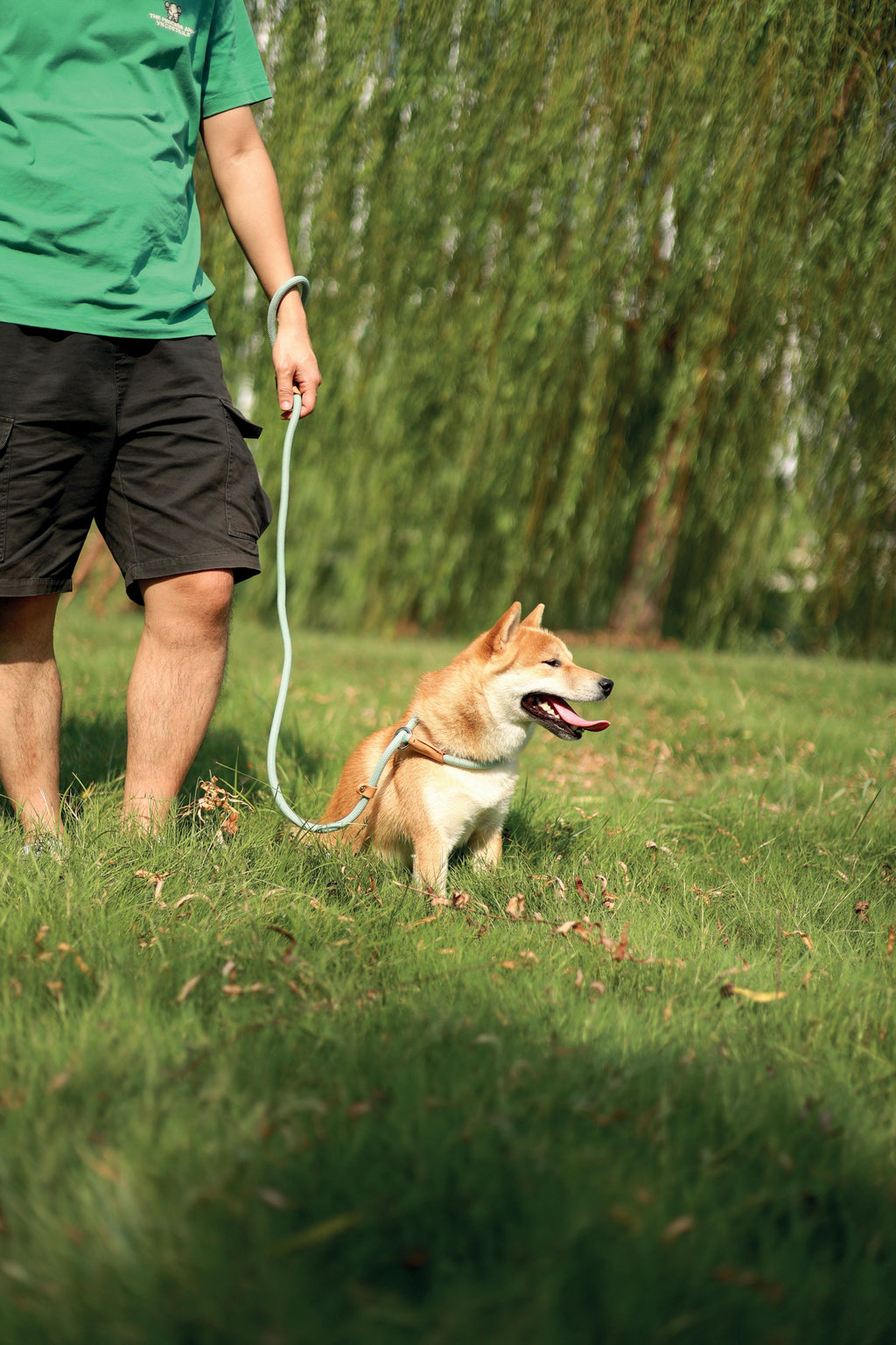 Laisse et collier pour chien ECO 2 en 1 Blanc