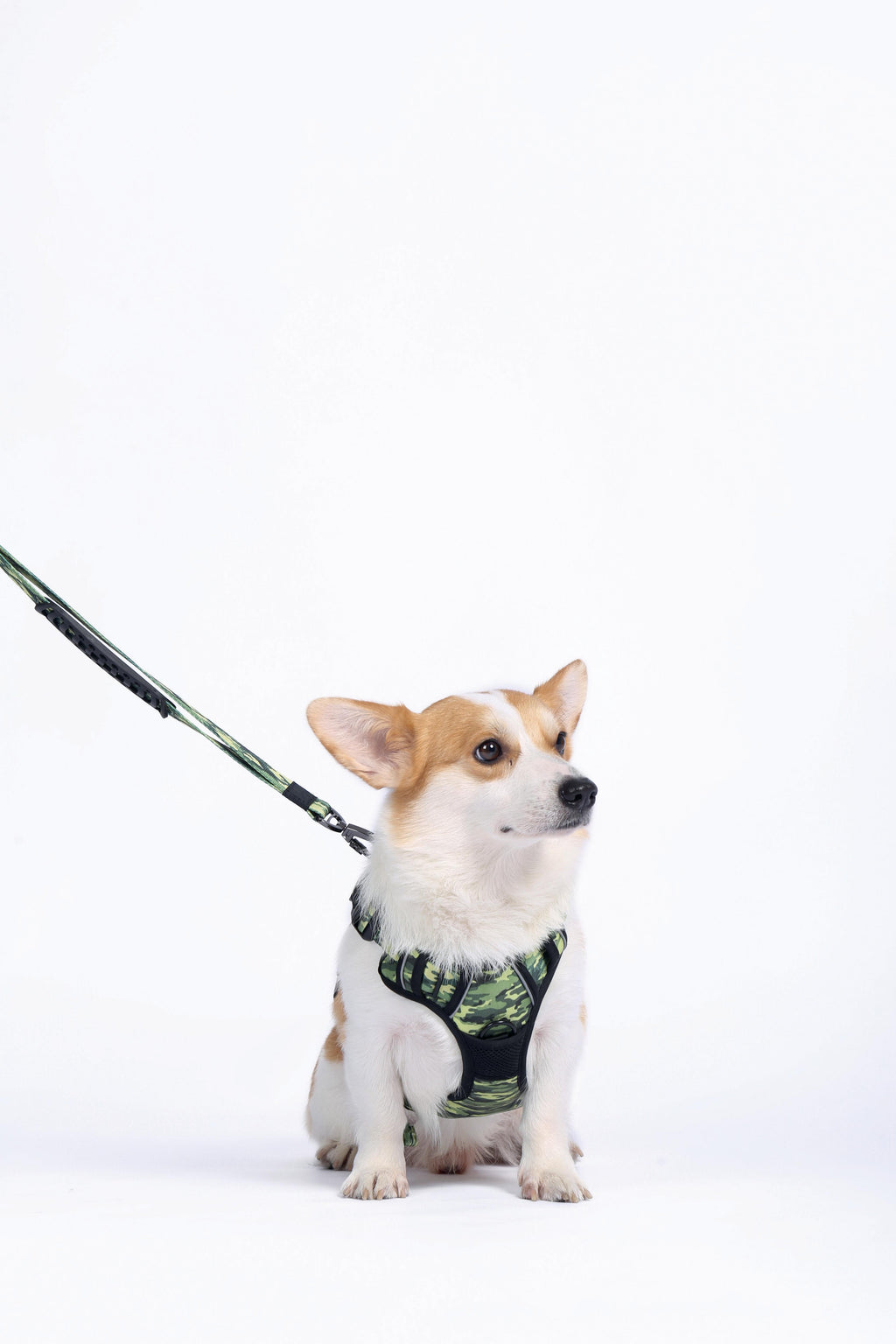 HIKING Harness Camouflage