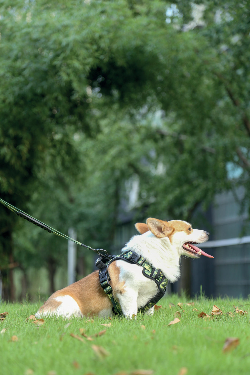 HIKING Harness Camouflage