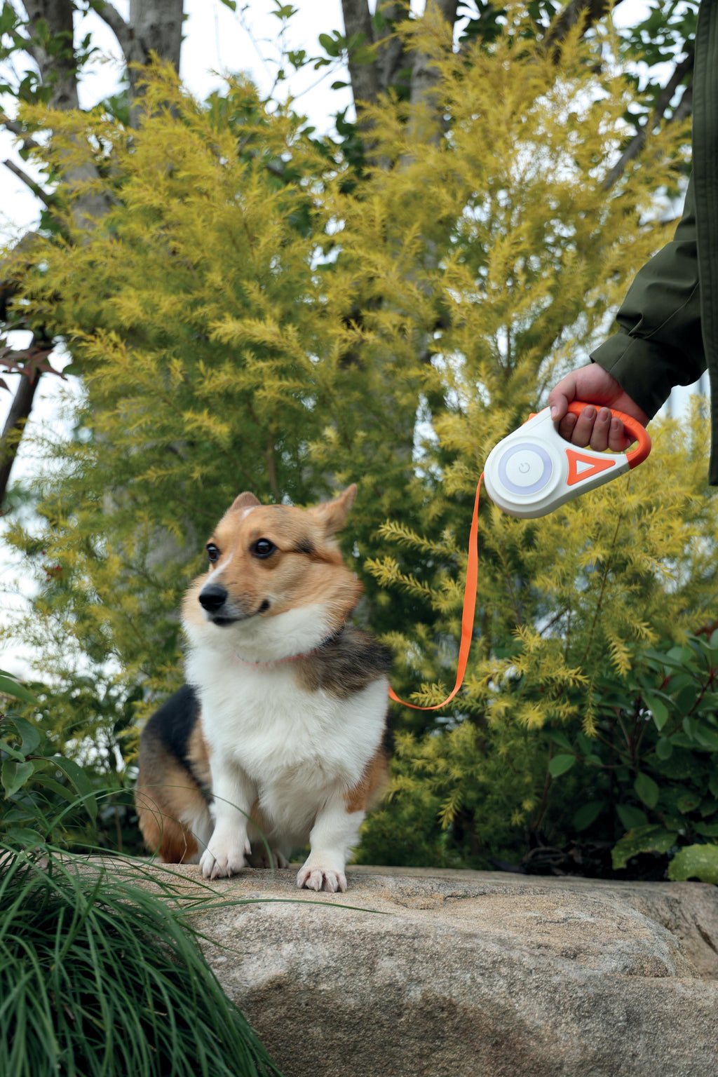 FLASH Retractable Dog Leash Orange