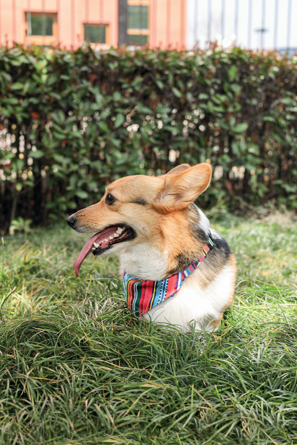 Collier bandana à rayures jazz de style urbain