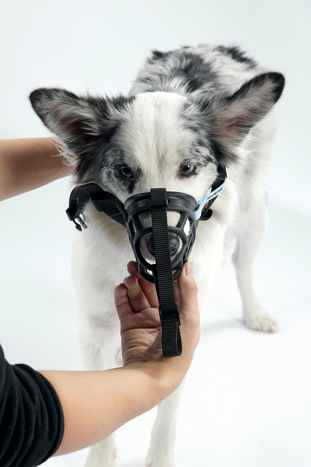 BARK GUARD Dog Muzzle Black&Blue