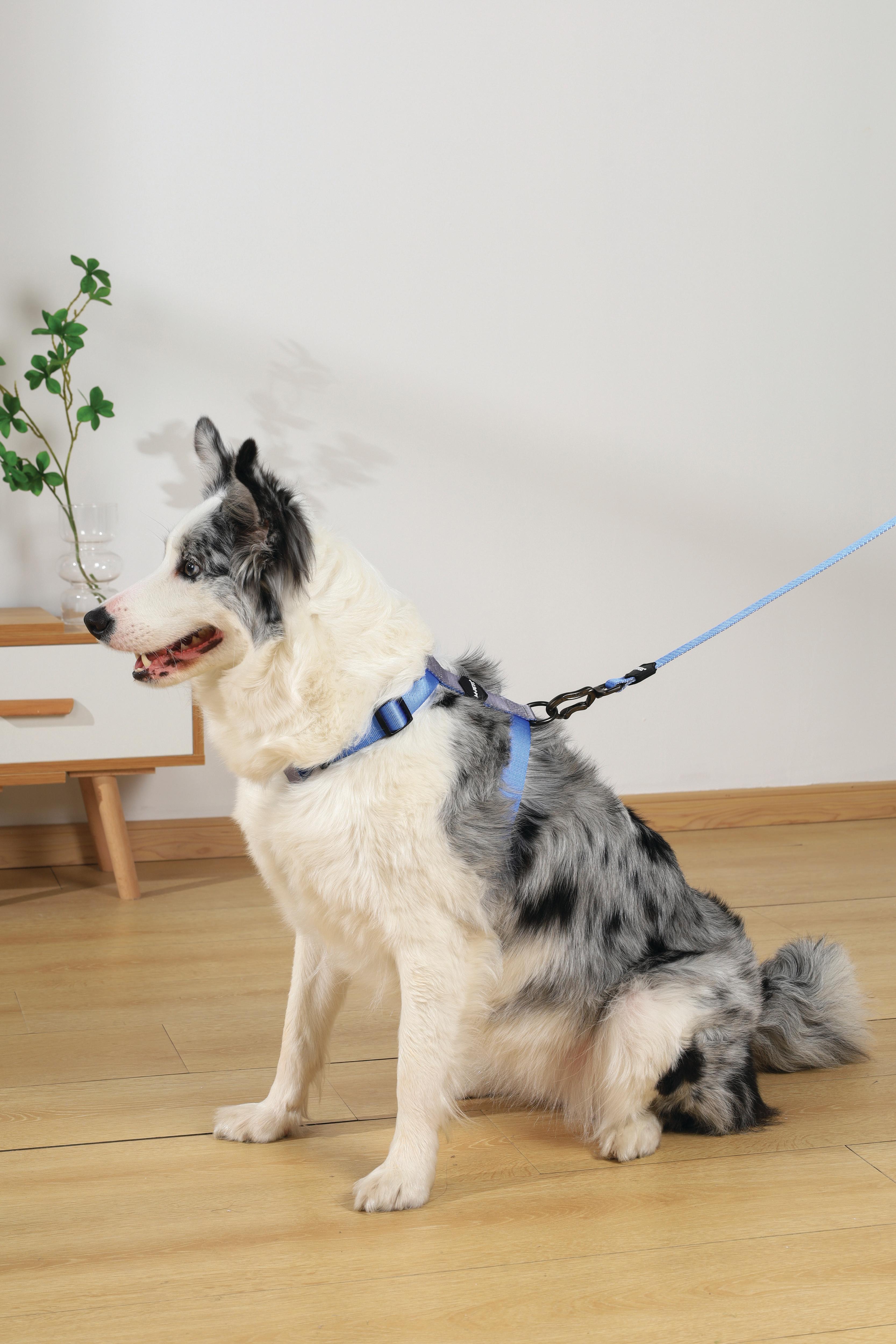 GENTLE DOG Harness Blue – M-PETS