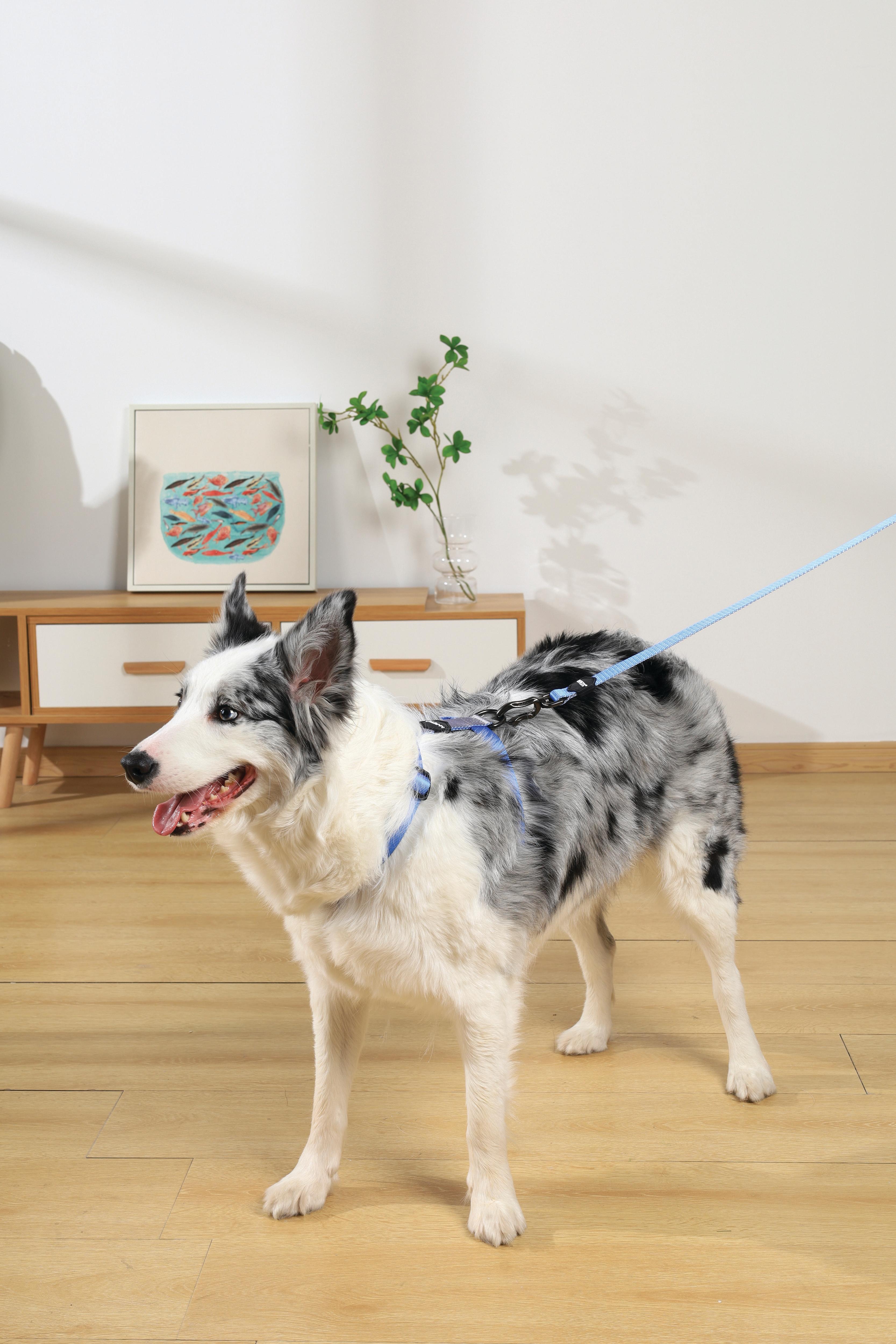 犬服・アクセサリー Miss blue pet GENTLE DOG Harness Blue – M-PETS
