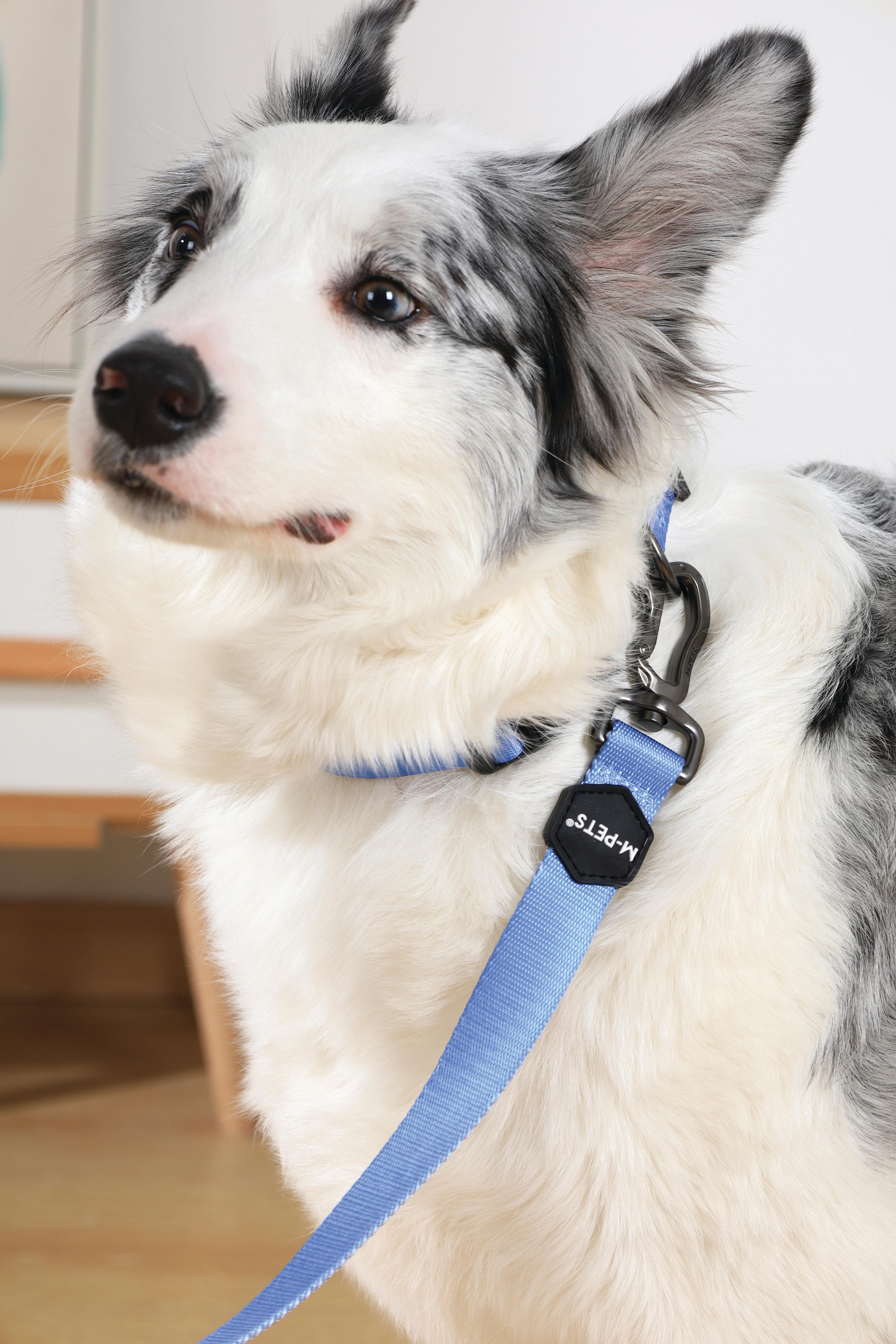 GENTLE DOG Collar Blue – M-PETS