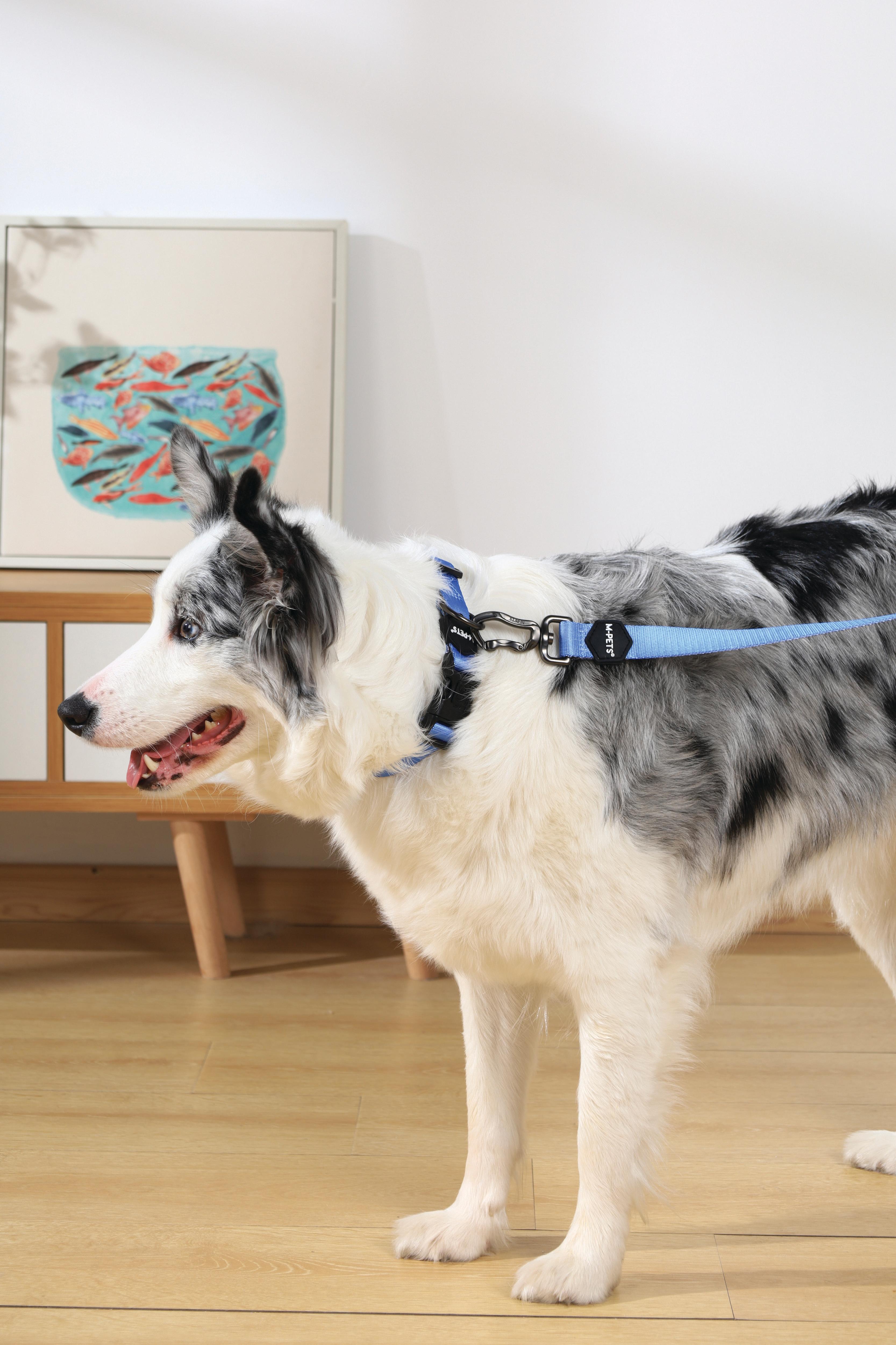 GENTLE DOG Collar Blue – M-PETS