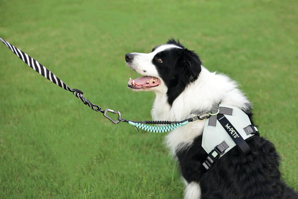 ORIGAMI Dog Harness leafy crease