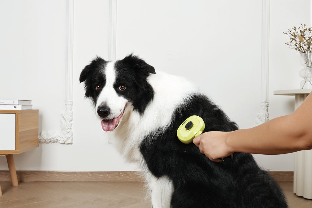 CLICK and GROOM 1-click Cleaning Pin