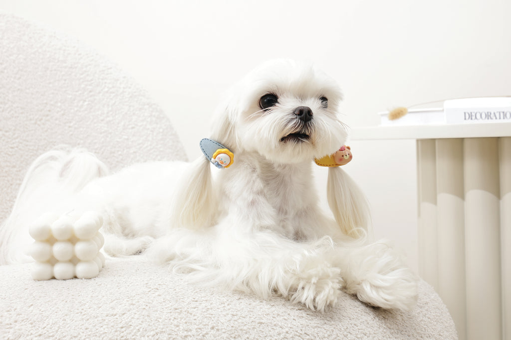 GLAM Hair Accessories for pets clip - Yellow