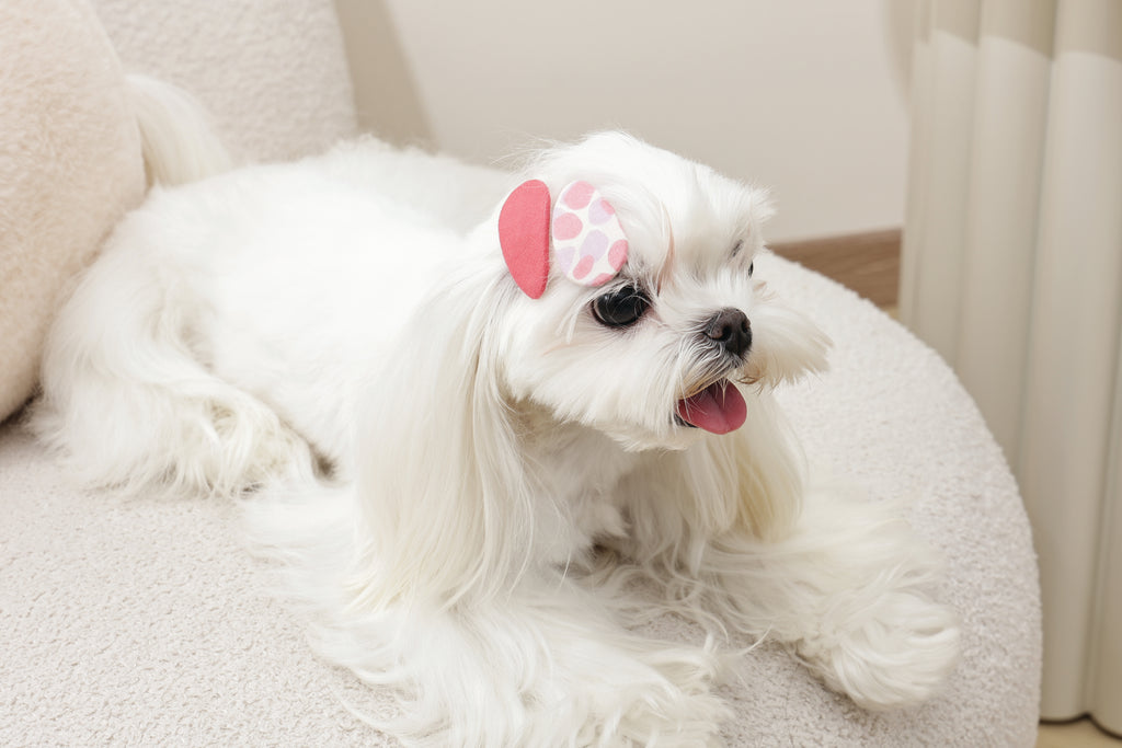 GLAM Hair Accessories for pets clip - Red