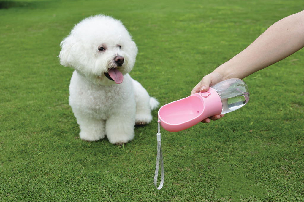 ON THE ROAD Dog water bottle 600 ml - 3 in 1 - Pink bloom