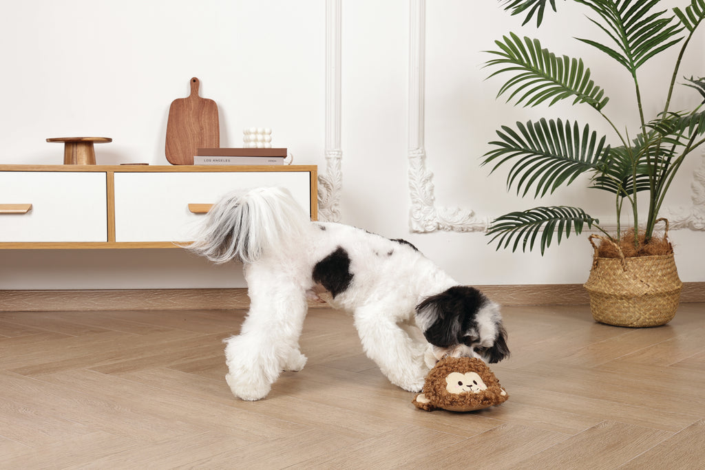 Slippers Dog toy Monkey