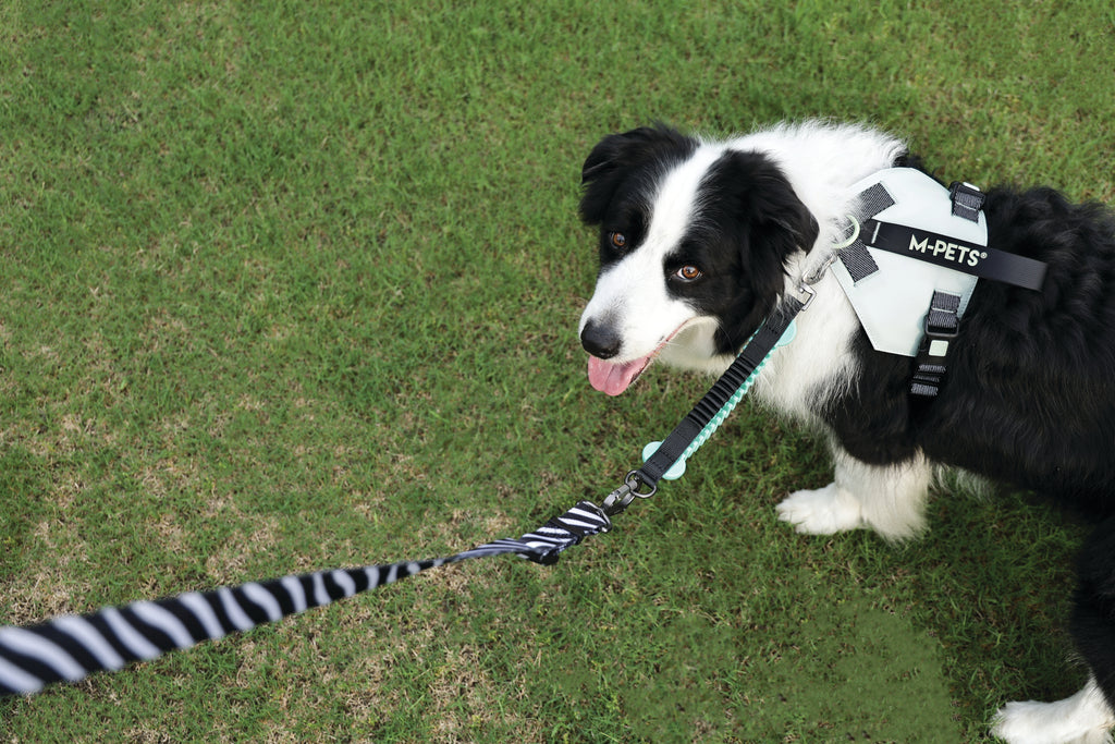 ORIGAMI Dog Harness leafy crease